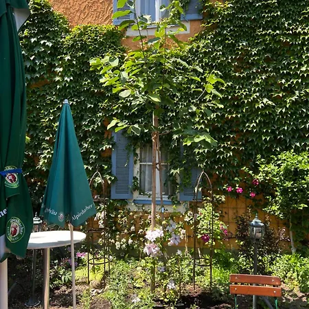 Kaiserstuehler-hof 호텔 3*